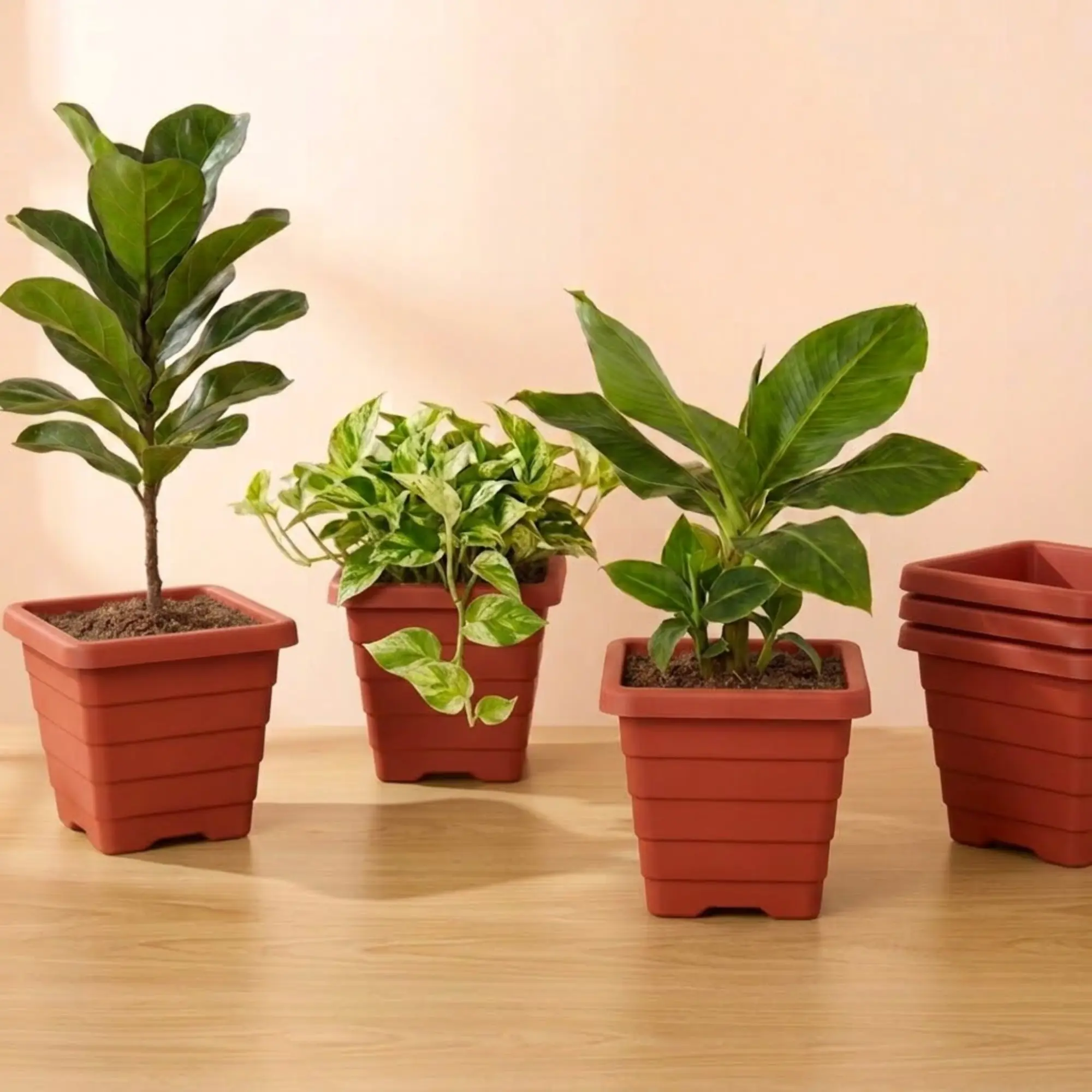 Plastic Planters
